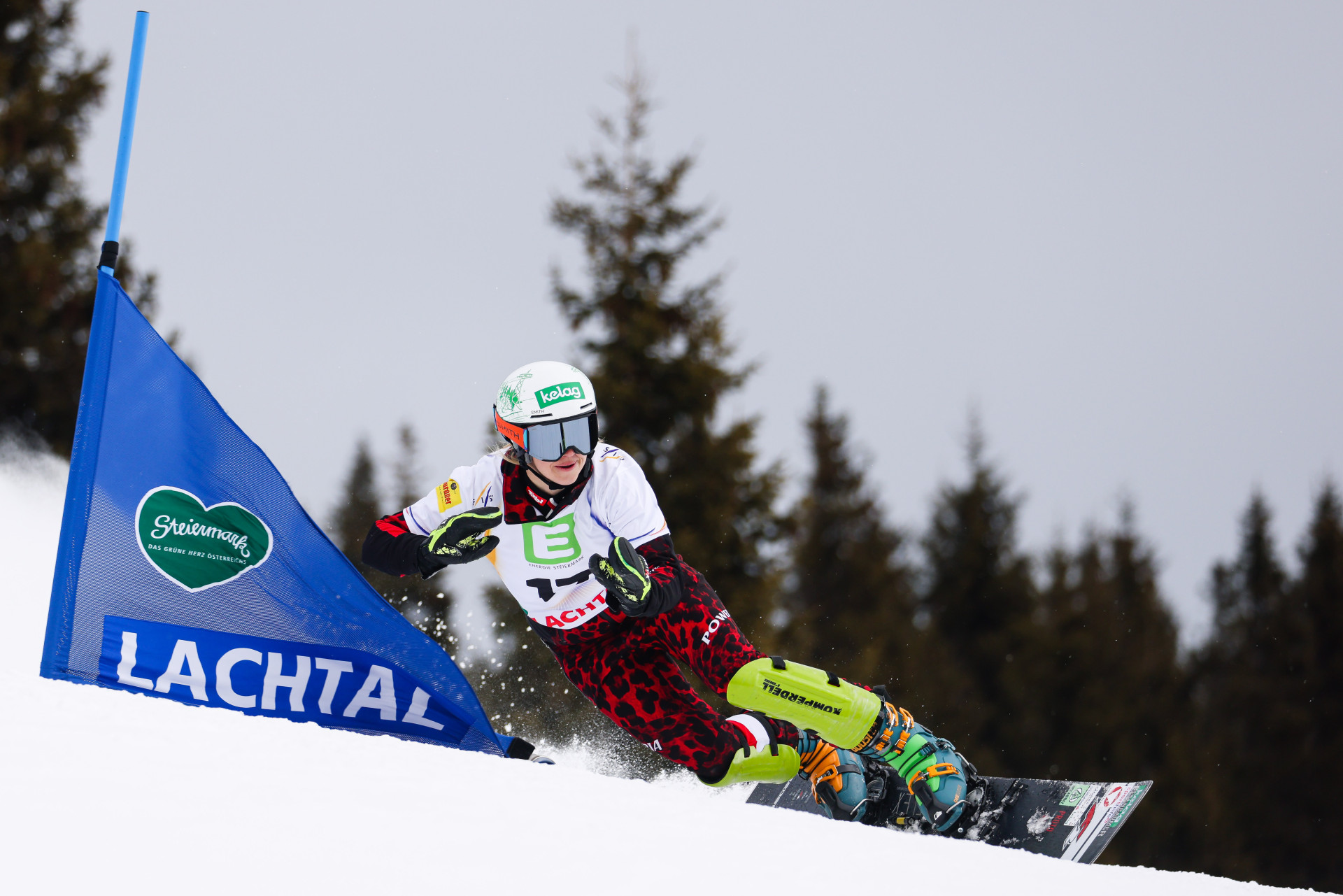 Österreichische und Deutsche Meisterschaften Snowboard Alpin PGS/PSL